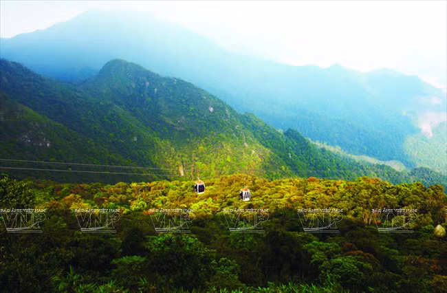 Grâce au téléphérique, les visiteurs peuvent admirer les pentes verdoyantes du Mont Yên Tu et, surtout, ​accéder au sommet sans efforts. 