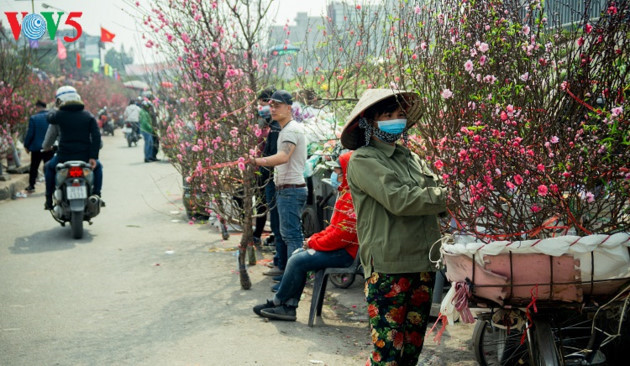 Un marché aux fleurs de pêchers de Nhat Tan. 