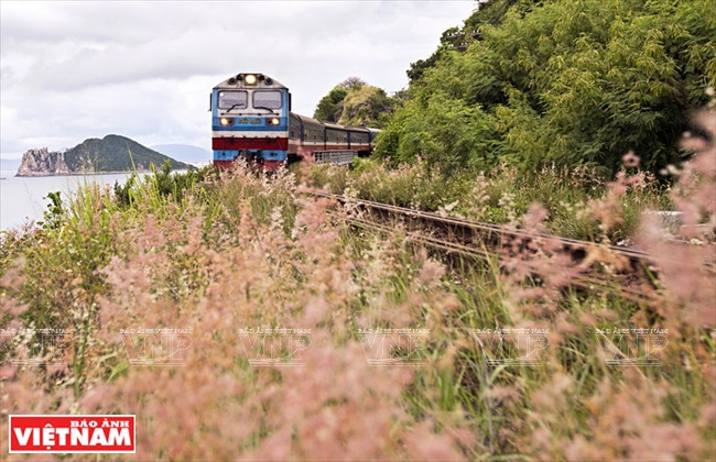 Le train Thong Nhat traverse la côte à la province de Phu Yên. Photo: Thông Hai
