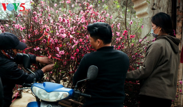 Les branches les moins grandes seront vendues au marché.