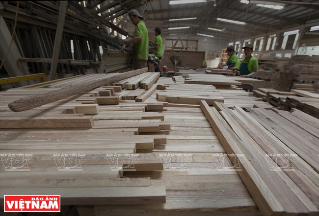 Bois de chêne après le traitement pour la production.