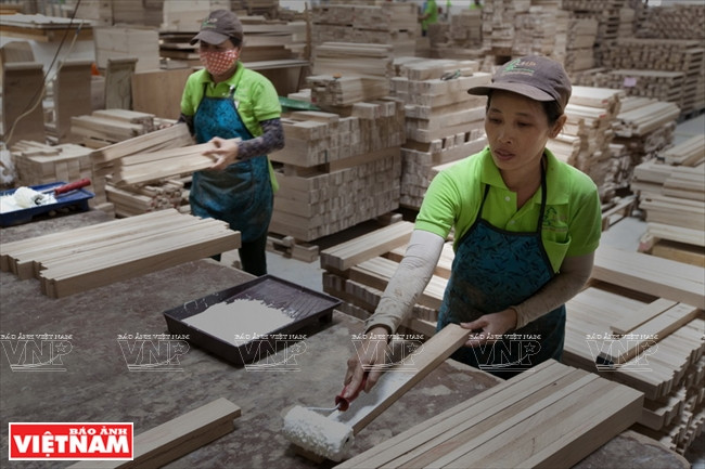 Traitement du chêne. 