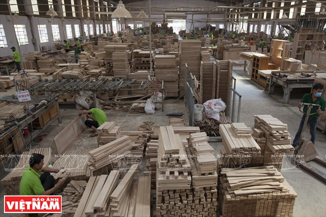 L’usine de meubles en chêne de la SARL Lâm Hoàng Phat dans la ville de Biên Hoà, province de Dông Naï. 