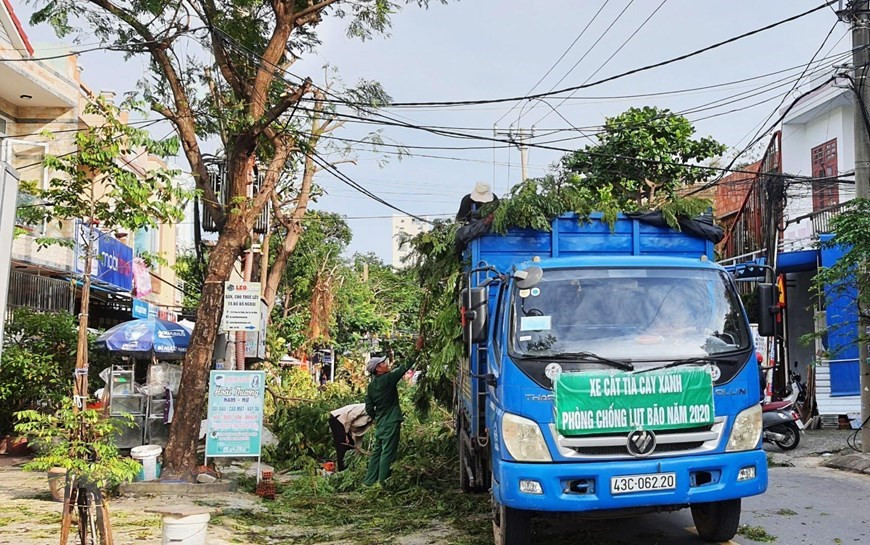 Les autorités de la ville de Da Nang coupent les arbres pour éviter les dommages causés par le typhon.