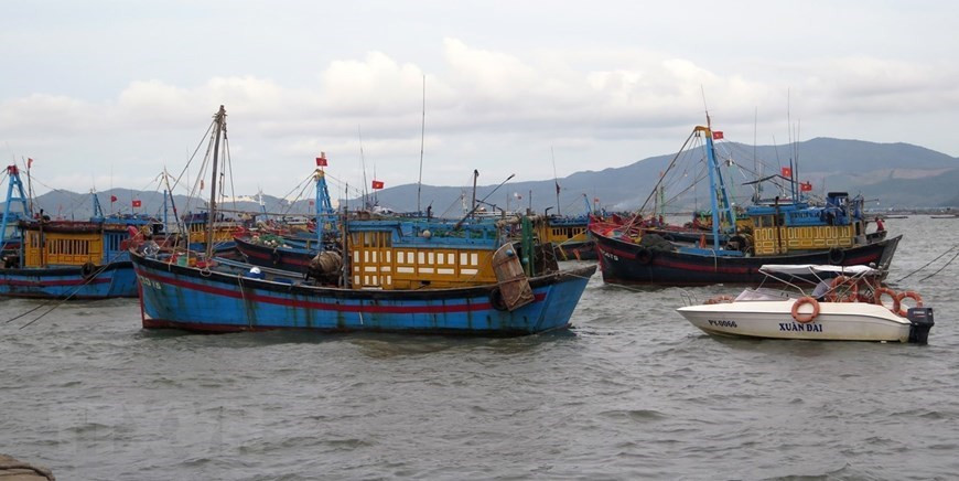 De nombreux navires de pêche à Phu Yen sont maintenant ancrés au port de pêche de Dan Phuoc dans la ville de Song Cau pour éviter le typhon Molave 