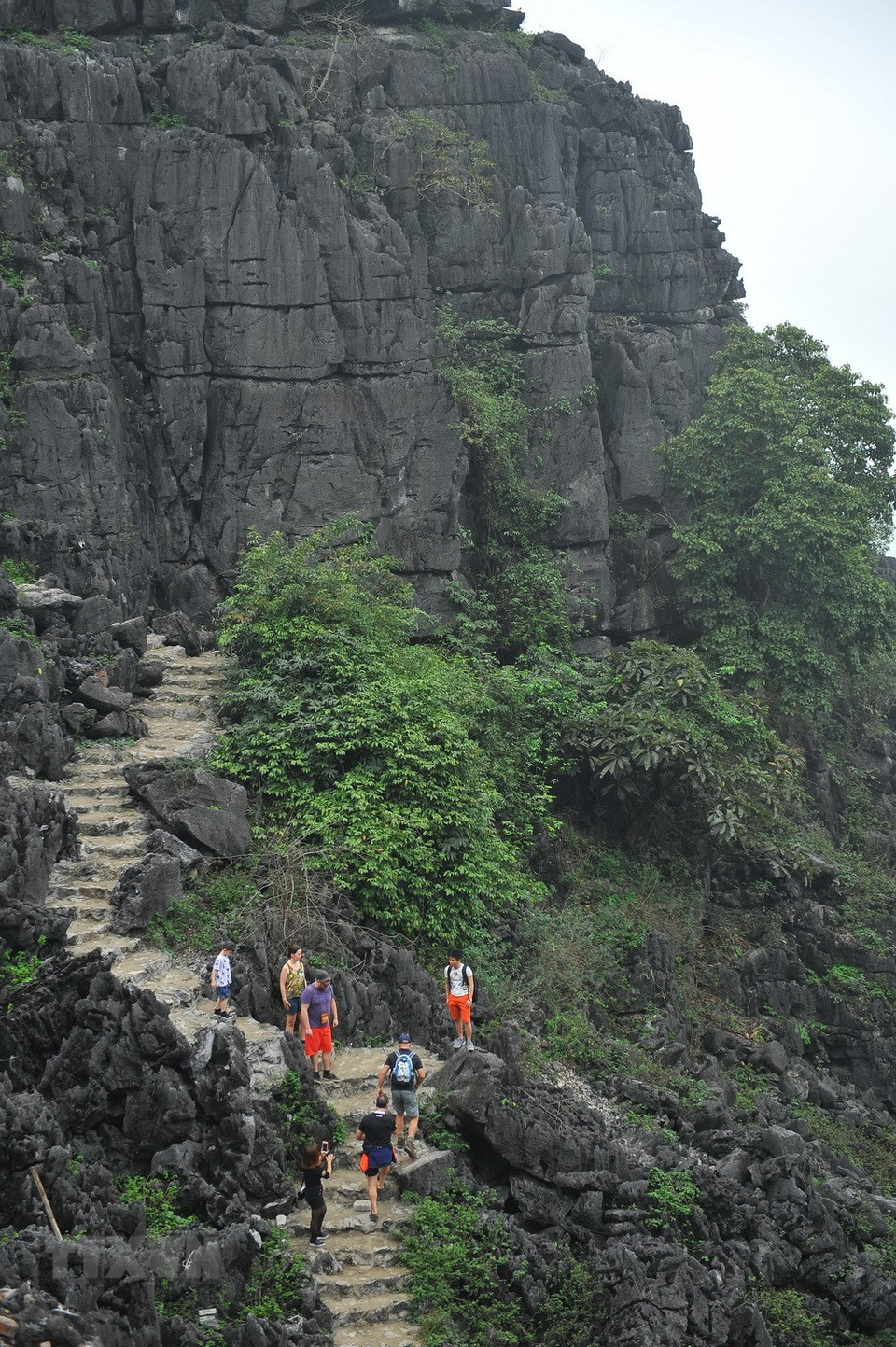Du toit de la grotte Mua, les touristes peuvent comtempler toute la région féérique de Tam Coc