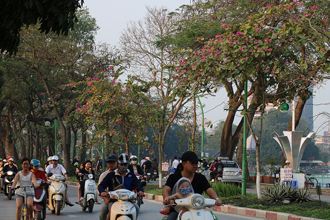 Un coin de la rue Thanh Niên.