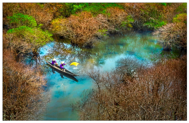  "Rú Chá mùa thu" (Ru Cha en automne) de Nguyên Hông Nhung.