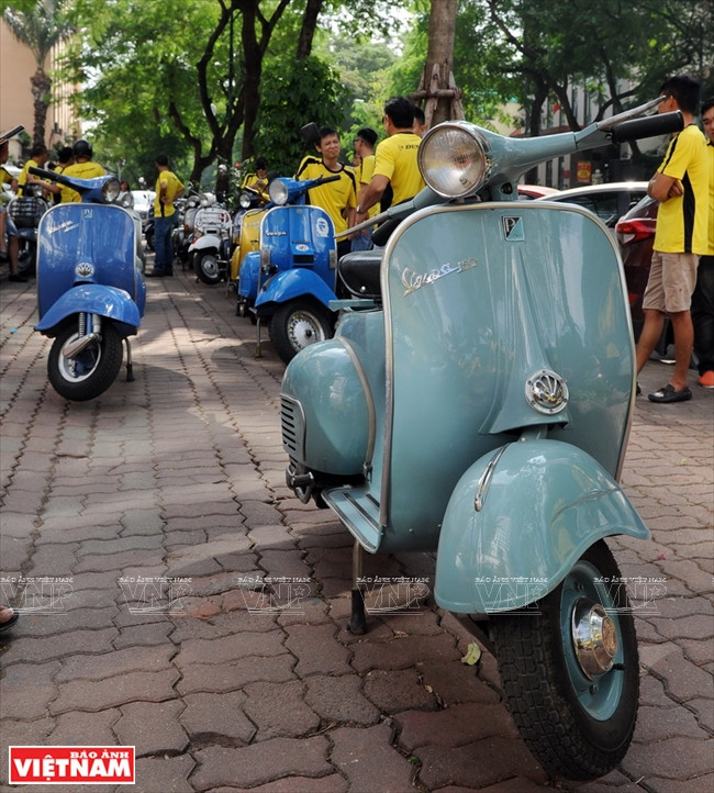 Le Vespa le plus ancien du groupe est un Standard, fabriqué en 1965.