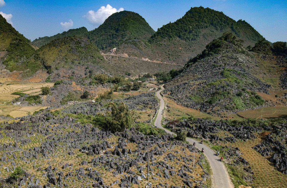 Situé dans la commune de Ta Phin, district de Tua Chua, province frontalière de Dien Bien au Nord, l'ancien plateau rocheux est réputé pour sa grande beauté sauvage. Photo: VNA