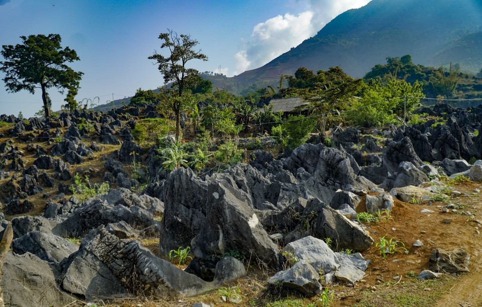 Les maisons des habitants locaux sont entourées de couches de roche. Photo: VNA