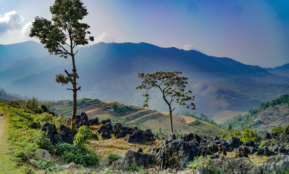Beauté grandiose du plateau rocheux de Ta Phin. Photo: VNA