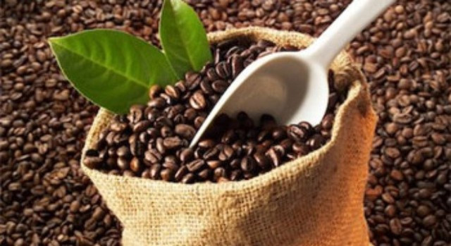 Les exportations nationales de café ont augmenté en neuf premiers mois de près de 23,7% en montant sur un an.