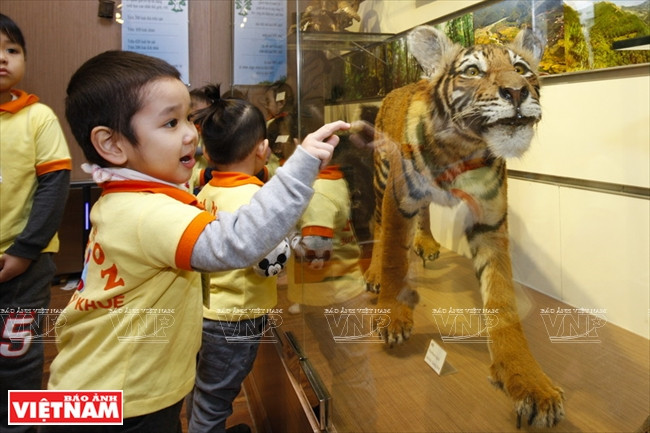 Les spécimens du musée sont exposés de manière scientifique et ​ludique.
