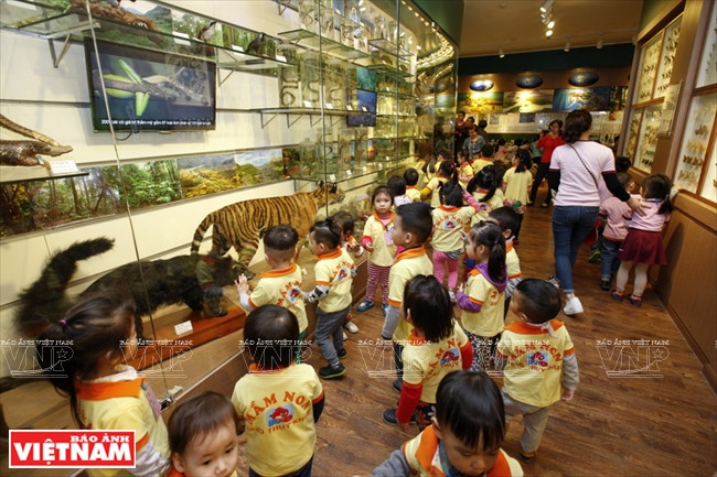 Les objets et spécimens sont agencés intelligemment.