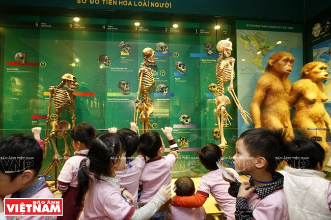 Un coin de l'exposition sur l'histoire de l'évolution de l'homme dans le musée.