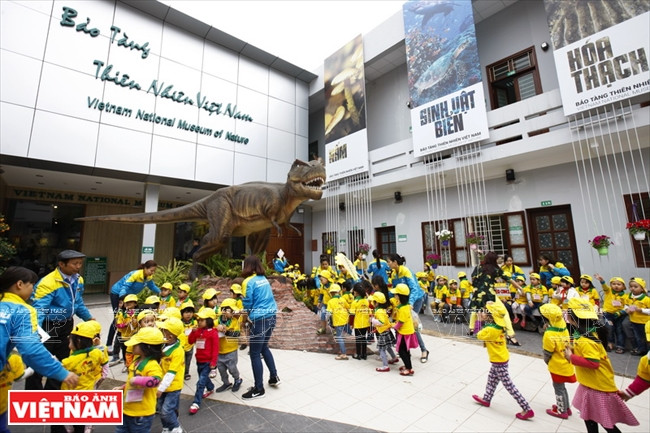 Le musée national de la Nature du Vietnam attire un grand nombre de visiteurs.