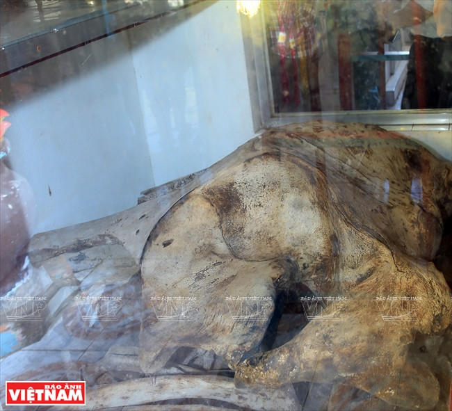 Des ossements du Monseigneur la baleine exposés en son mausolée. Dans la pensée populaire, la baleine est une créature des mers sacrée. Elle fait souvent son apparition pour aider et sauver les gens en difficulté au large. 