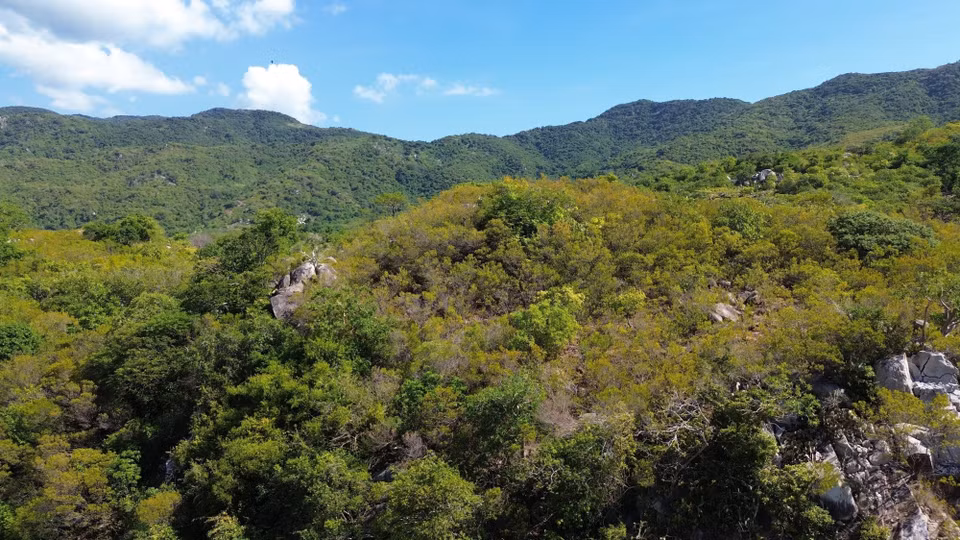 Ce site héberge une biodiversité forestière et marine exceptionnelle avec des espèces rares, animales comme végétales, ainsi que des paysages naturels représentatifs de l’écosystème forestier aride.