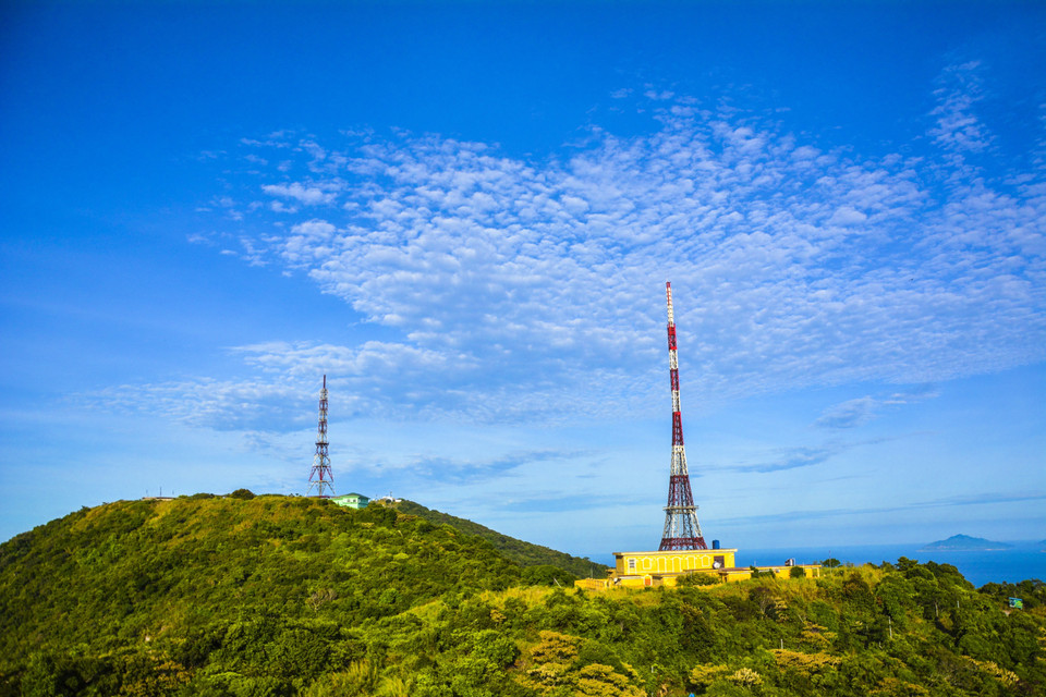 Les fleurs et les jeunes feuilles de millettia ichthyochtona Drake servent d’aliments pour les doucs, une espèce de singe rarissime avec quelque 200 individus vivant au Vietnam et notamment dans les forêts de Son Tra.