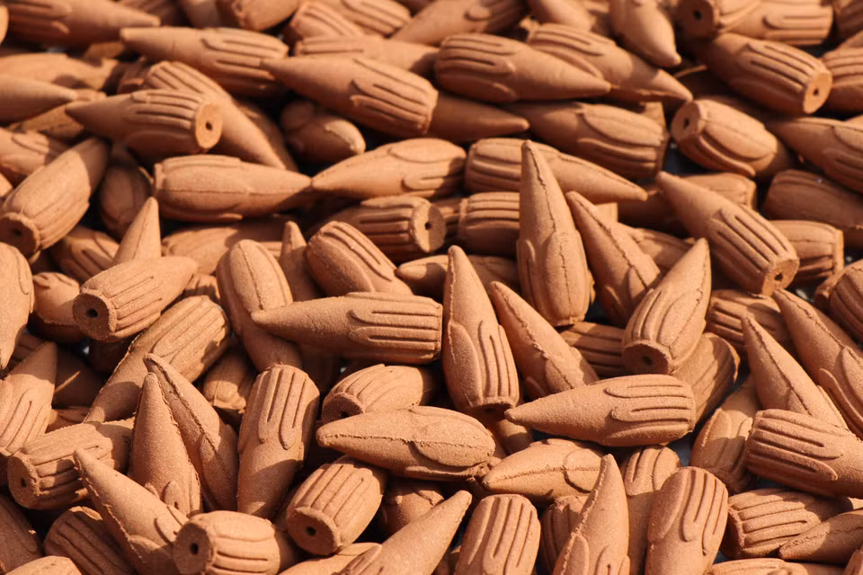 Encens en forme de bourgeon de cannelle, un des produits à base de cannelle. Photo: VNA