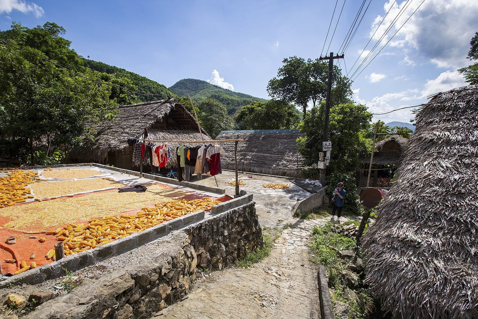 Maisons à toits de chaume de l'ethnie Dao Tien.