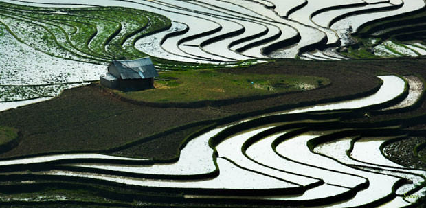 Acheminer l'eau vers les rizières est vraiment un art demandant habileté et assiduité.