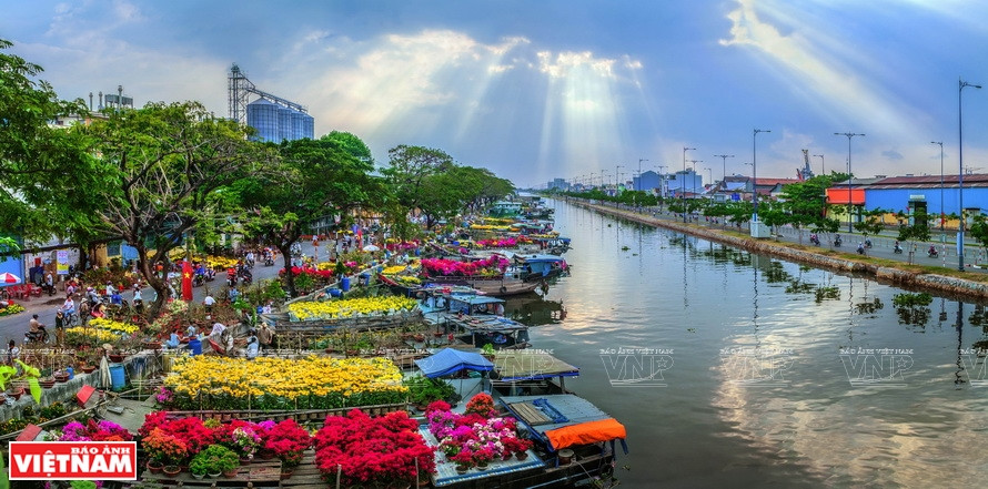 Soleil du printemps. Photo: Vietnam Illustré