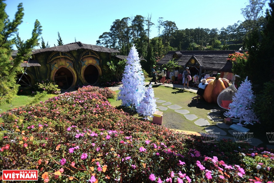 Da Lat compte de nombreux fermes et villages floricoles, toujours ouverts aux touristes. Photo: Thanh Hoa