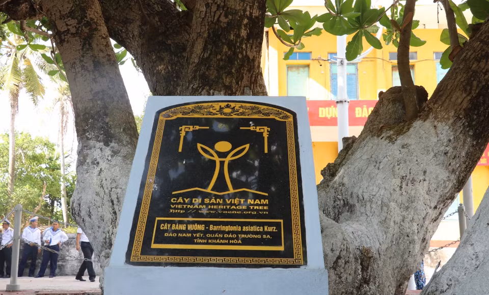 Le "Bàng vuông" sur l'île de Nam Yêt reconnu patrimoine national. Photo: VNA 