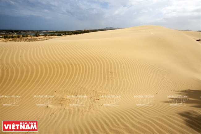 Dune de Nam Cuong, d’une superficie de 700 ha, un site incontournable à Ninh Thuân. Photo: Vietnam Illustré