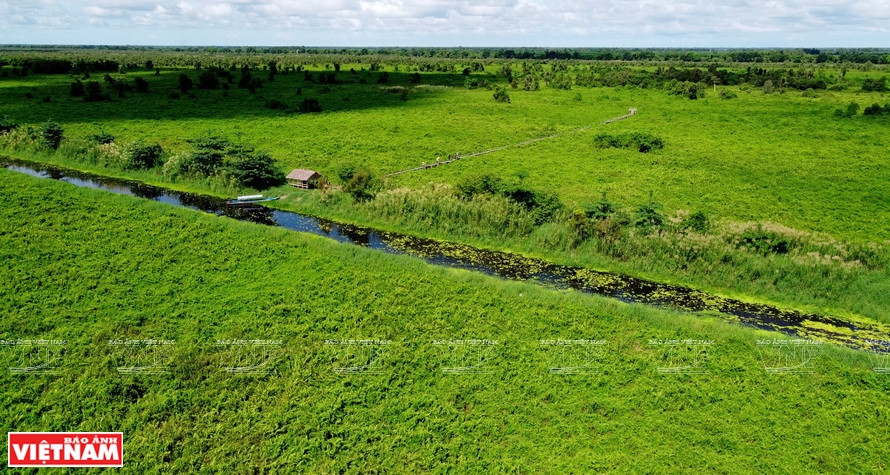 Le parc national d'U Minh Thuong possède une flore et une faune très riches. Photo: Vietnam Illustré 