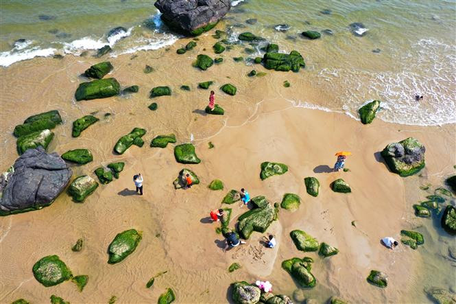 Les touristes aiment prendre des photos à marée baisse. Photo: VNA