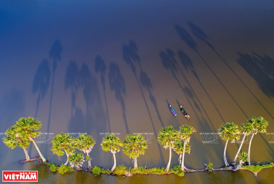 Après-midi ensoleillé. Photo: Vietnam Illustré