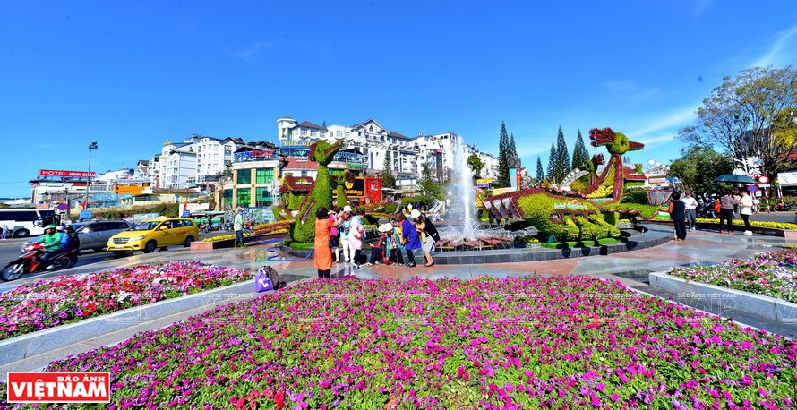 Da Lat est surnommé le " petit Paris" grâce à son climat frais et à ses fleurs épanouies toute l'année. Photo: Thanh Hoa