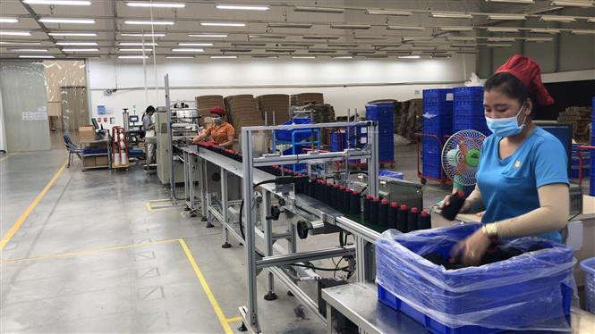 Les travailleurs de la compagnie Gunzetal Vietnam assurent la production. Photo: VNA