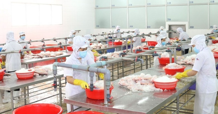 Les entreprises de Ho Chi Minh-Ville redoublent d'efforts pour maintenir la production. Photo : VNA