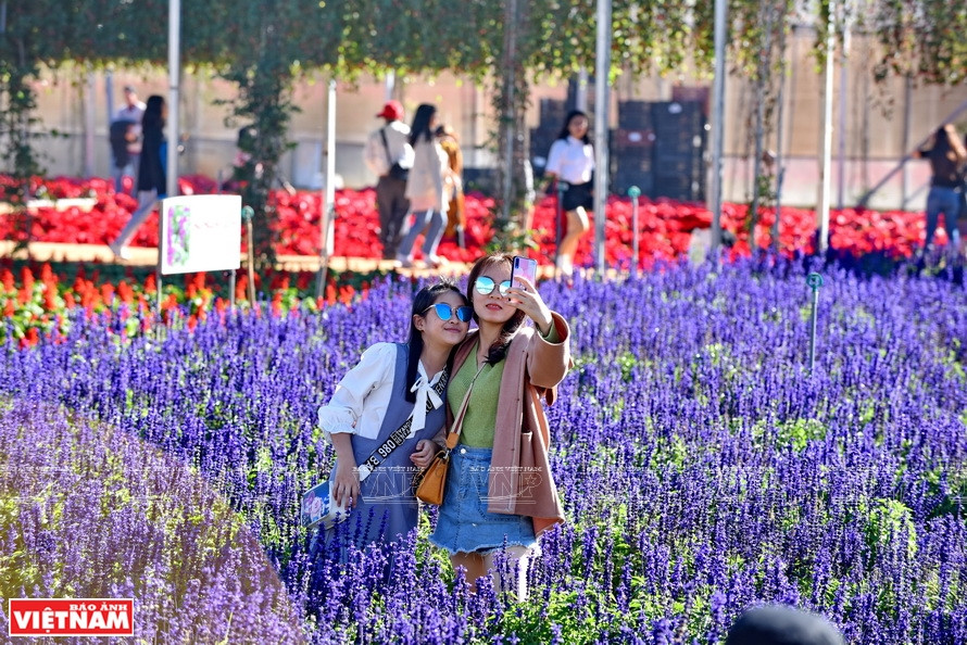 Des visiteuses au village floricole de Van Thanh à Da Lat. Photo: Thanh Hoa
