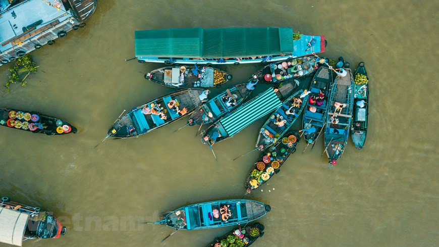 Pour assister à ce marché, les visiteurs doivent se réveiller environ 5 heures du matin et se rendre au quai de Ninh Kieu pour louer un bateau à moteur ou se rendre directement à la marina non loin de la place du marché. Photo:VNA