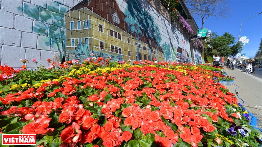 Des fleurs dans une rue de Da Lat: Photo: Vietnam Illustré