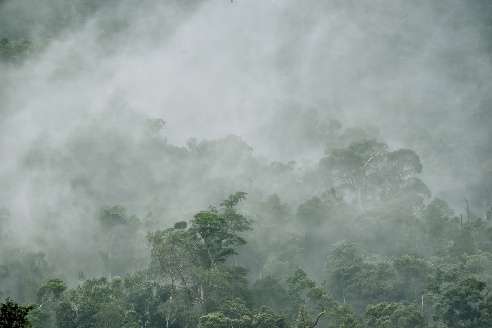 Une vue du Parc national de Kon Ka Kinh, une zone centrale de la réserve mondiale de biosphère de Kon Ha Nung. Photo: VNA