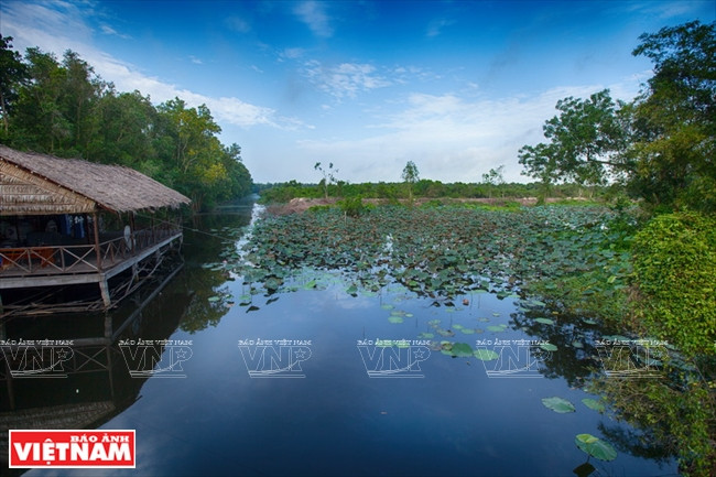 Paysage pittoresque. 