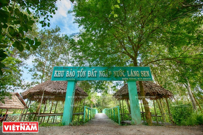 La Réserve de zones humides de Lang Sen a une superficie de 5.030 ha, entourant la totalité de la réserve écologique de la forêt de cajeputiers de Dông Thap Muoi (« Plaine des joncs »), le chantier d’exploitation forestière Vinh Loi et une partie des communes de Vinh Loi et Vinh Dai (district Tân Hung). 