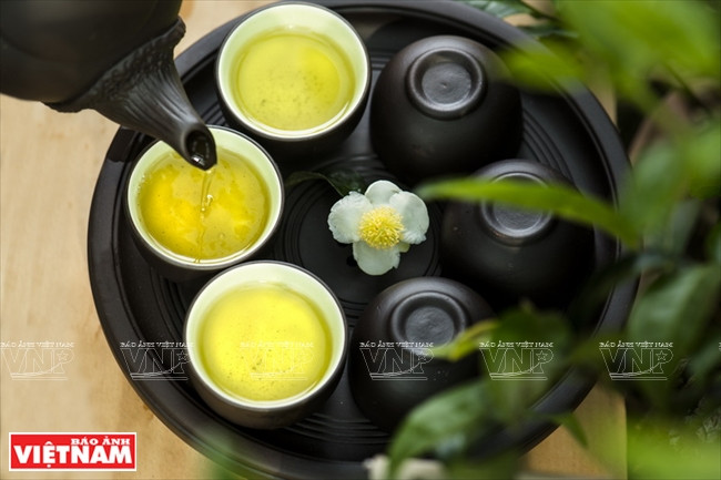 Un thé vert organique d’Ecolink.