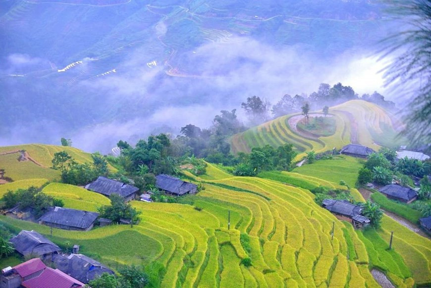 Quiconque a déjà visité le district de Hoang Su Phi, dans la province de Ha Giang, compare également sa beauté à un paradis sauvage. En particulier pour ceux qui pratiquent la photographie, cette terre est très attrayante. Photo: VNA