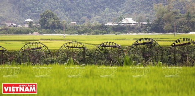 Les norias alimentent en eau les rizières verdoyantes de Nà Khuong.
