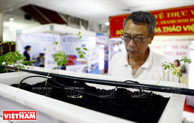 Outre des modèles de culture maraîchère hydroponique, l'Académie de l’Agriculture du Vietnam a présenté des modèles de culture maraîchère bio à petite échelle.