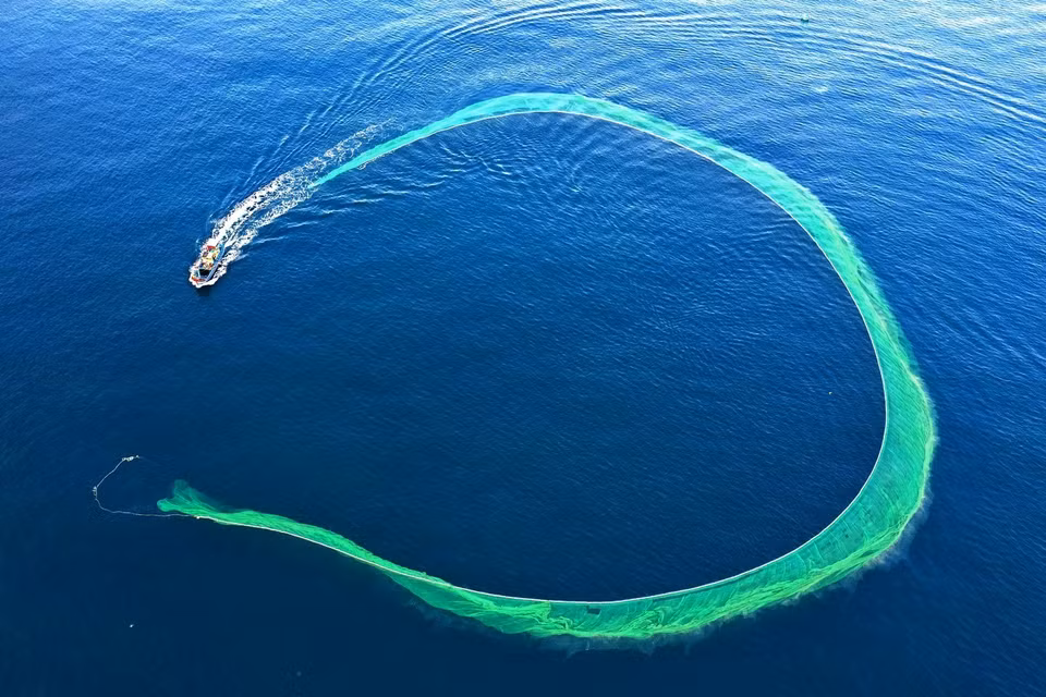 Le vert des filets, le bleu de l’océan et les couleurs environnantes forment des scènes de toute beauté. Photo: VNA