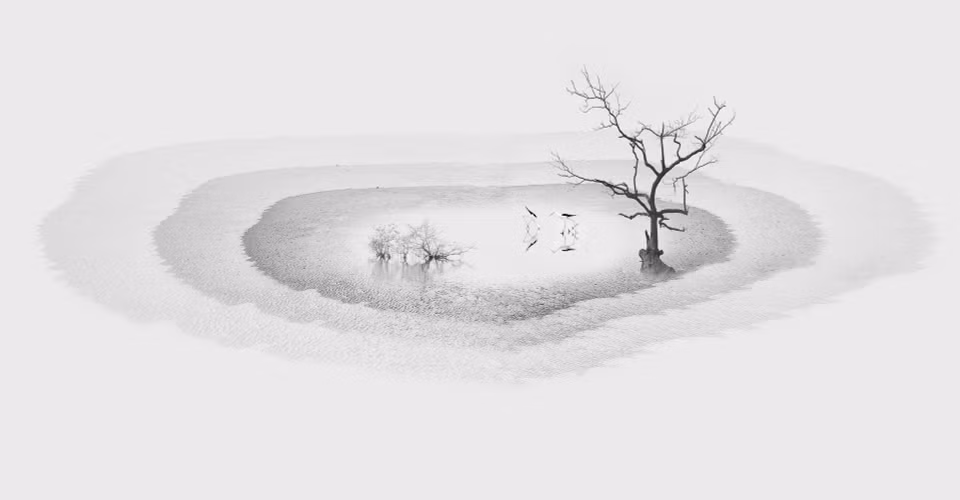 "The white sea" (Mer blanche) de Dang Quang Vinh remporte la médaille d'or du DYPA 