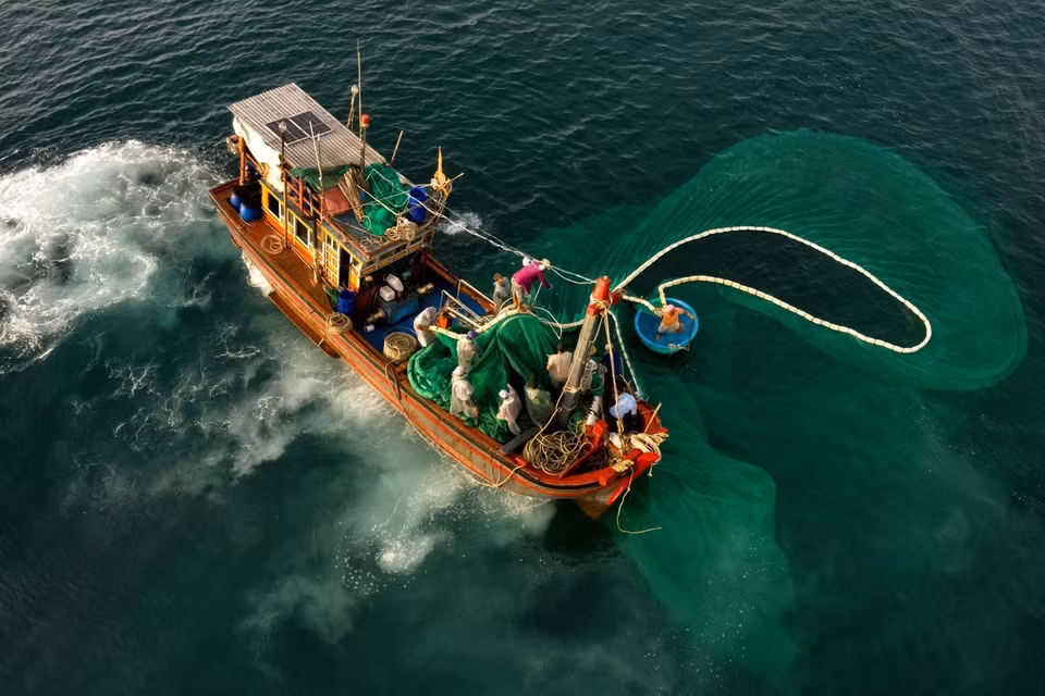 La beauté ineffable de la pêche aux anchois quand la scène en vue d'en haut. Photo: VNA